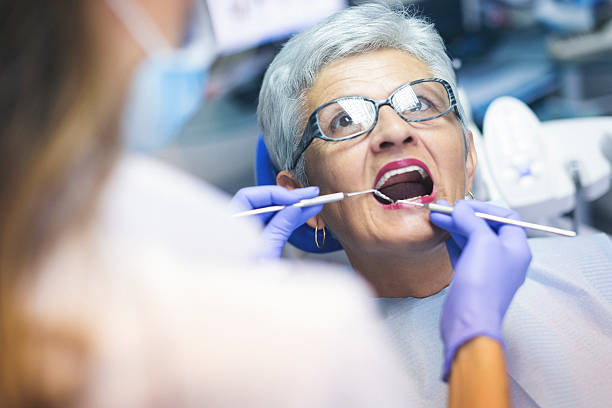  Pistakee Highlands, IL Holistic Dental Services Pros